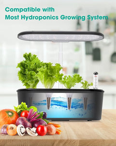 50 Grow Sponge - Hydroponics Replacement Growth Kit