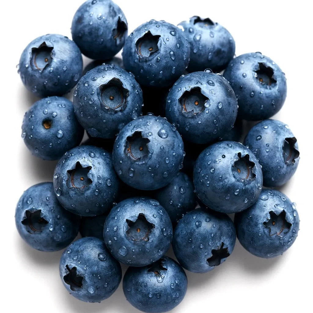 European Blueberry (Bilberry) Vaccinium myrtillus Heirloom Seeds