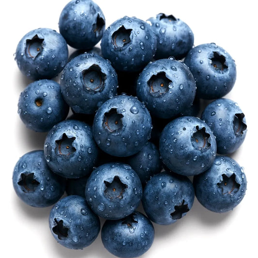 European Blueberry (Bilberry) Vaccinium myrtillus Heirloom Seeds