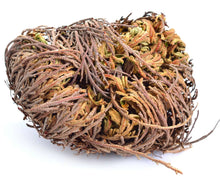 3 Jericho Flower Rose of Jericho, Resurrection Flower, Whole Dried Herb