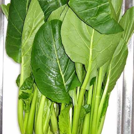 Harvested green komatsuna leaves and stems, enhanced from the supplier photograph