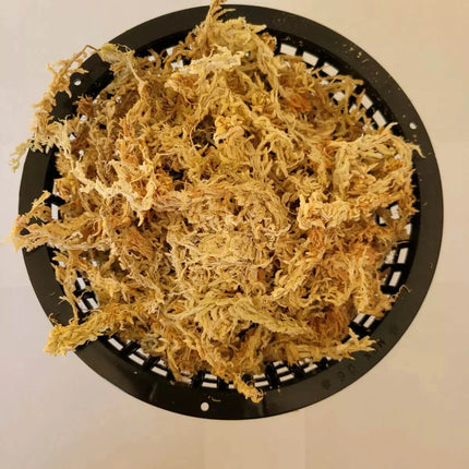 Net Pot with New Zealand Sphagnum Moss - Seed World