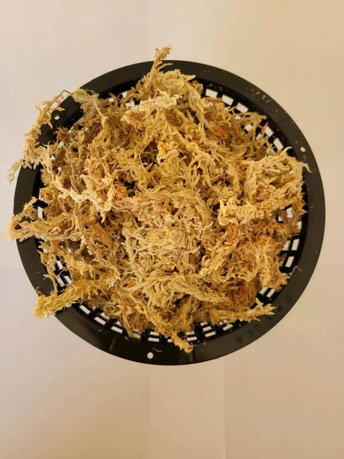 Net Pot with New Zealand Sphagnum Moss - Seed World