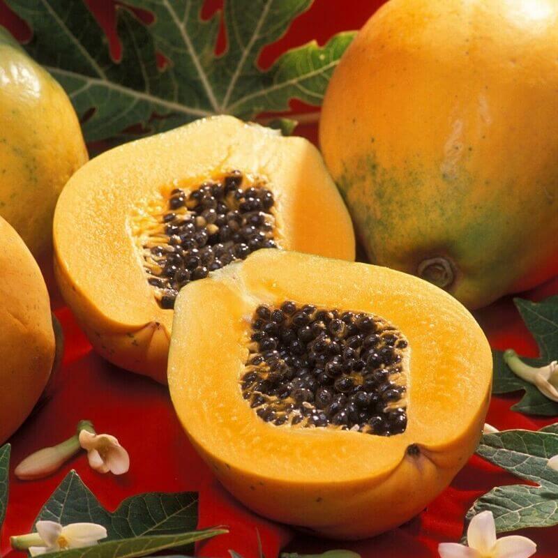 Original Solo Sunset Papaya Seeds - Seed World