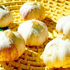 4 Bulbs