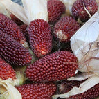 Strawberry - 30 Seeds