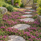 Mature creeping thyme flowering beside a garden path