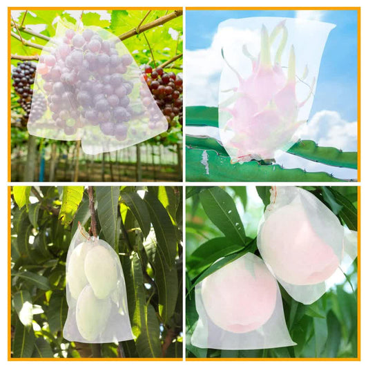 Mesh protection bags covering grapes, dragon fruit, mangoes, and peaches on trees, highlighting usage