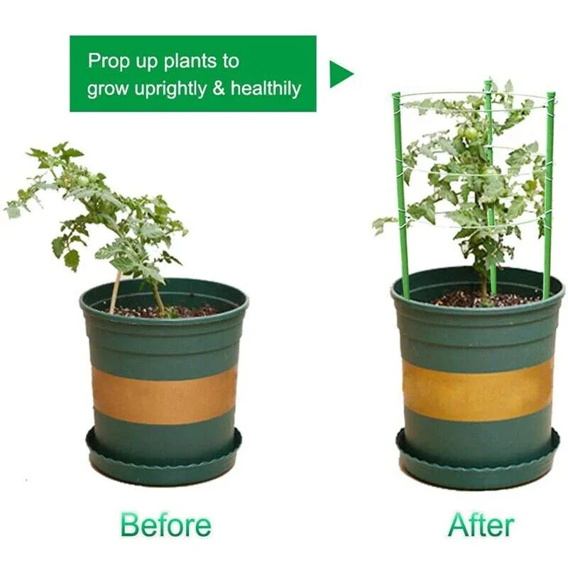 2 Climbing Plant Support Cages