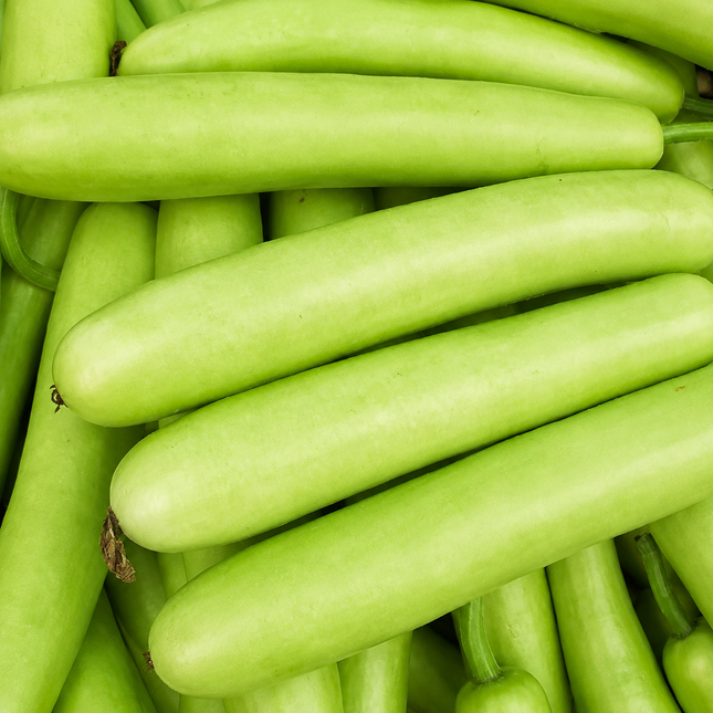 10 Sorakaya Long Bottle Gourd Calabash Seeds