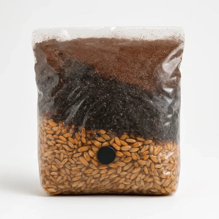 Sterilized All-in-One Mushroom Grow Bag – 3 lb Substrate with Injection Port - Seed World