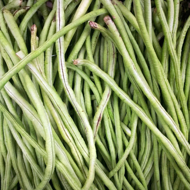 Yard Long Cowpea Bean Seeds 50+ | Heirloom Non-GMO Variety - Seed World