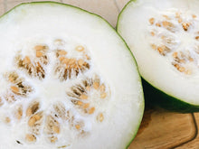 10 Giant White Winter Melon Seeds - Seed World