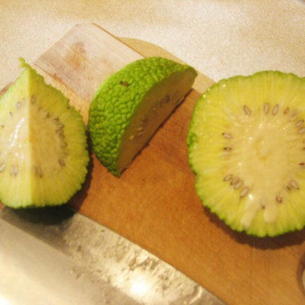 10 Hedge Apple Seeds - Seed World