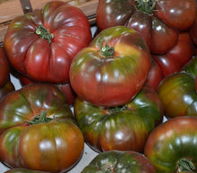 100 Black Krim Tomato Seeds - Seed World