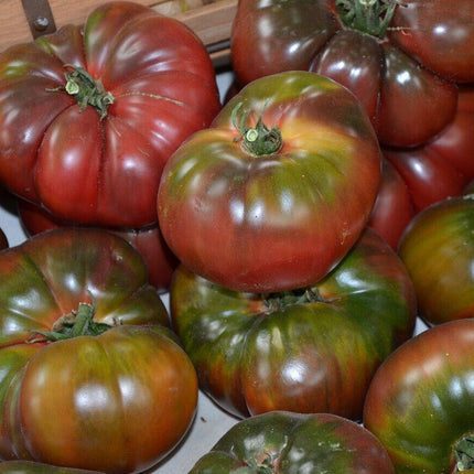 100 Black Krim Tomato Seeds - Seed World