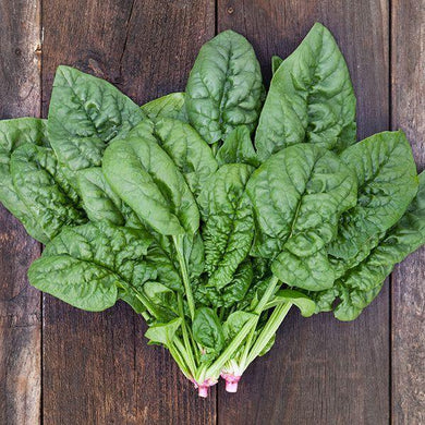 100 Bloomsdale Spinach Seeds - Seed World