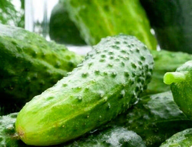 100 Boston Pickling Cucumber Seeds | NON-GMO | Heirloom - Seed World