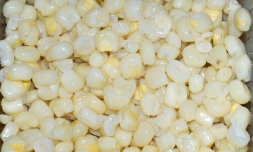 100 Country Gentleman White Corn Seeds - Seed World
