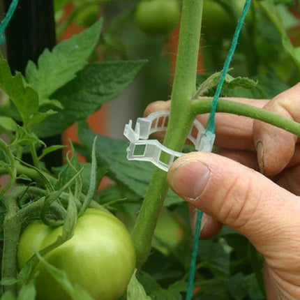 100 Garden Plant Support Clips - Seed World