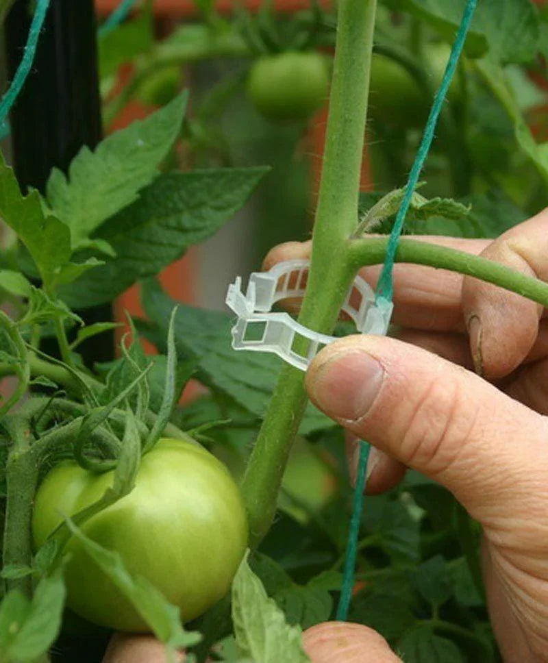 100 Garden Plant Support Clips - Seed World