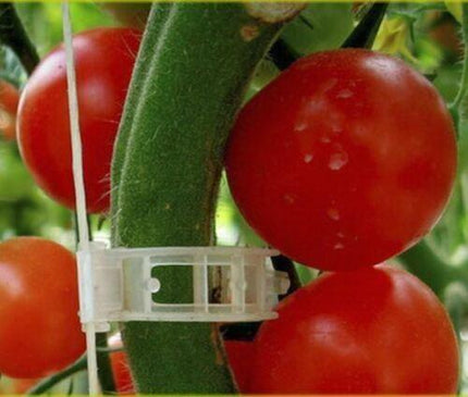 100 Garden Plant Support Clips - Seed World