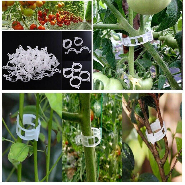 100 Garden Plant Support Clips - Seed World
