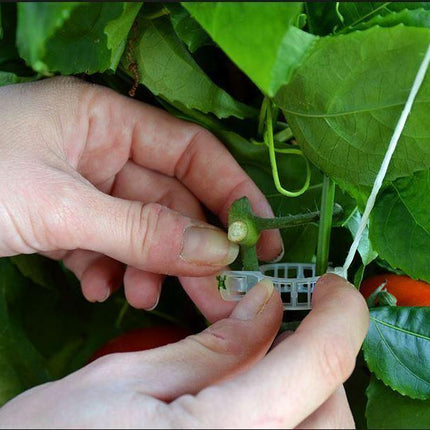 100 Garden Plant Support Clips - Seed World