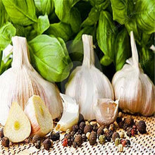 25 Giant Garlic Seeds | Organic Healthy Delicious And Spicy - Seed World