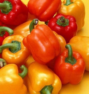 100 Giant Spicy Red Chili Hot Pepper seeds - Seed World
