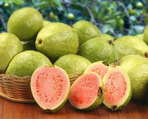 100 Guava Fruit Tree Seeds - Seed World