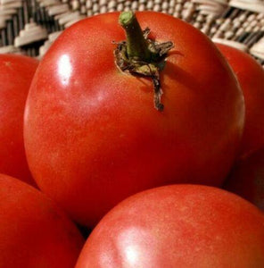 100 Homestead Tomato Seeds - Seed World