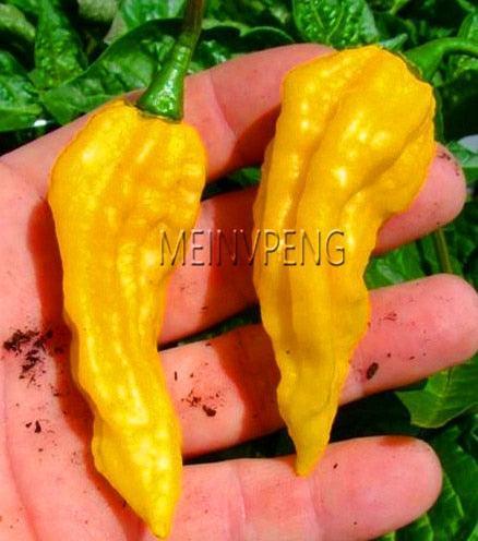 100 Hot Chili Pepper Annuum Mix Plant Seeds - Seed World