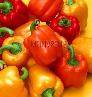 100 Hot Chili Pepper Annuum Mix Plant Seeds - Seed World