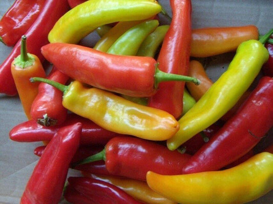 100 Hungarian Wax Hot Pepper Seeds - Seed World