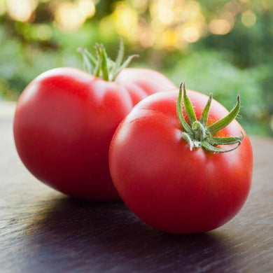 100 Marglobe Tomato Seeds - Seed World