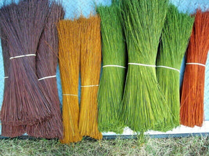 100 Multi Color Broom Corn Seeds - Seed World