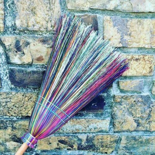 100 Multi Color Broom Corn Seeds - Seed World