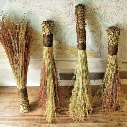 100 Multi Color Broom Corn Seeds - Seed World