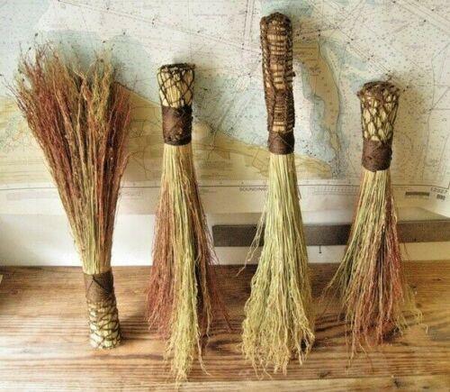 100 Multi Color Broom Corn Seeds - Seed World