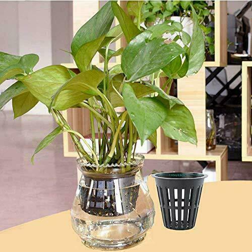 100 Net Pot Mesh Flex Pot Net Cup (2") - Seed World