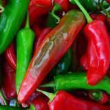 100 New Mexico Big Jim Pepper Seeds - Seed World