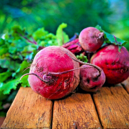 100 Ruby Queen Beets Seeds - Seed World