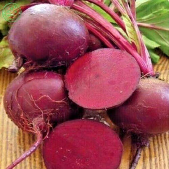 100 Ruby Queen Beets Seeds - Seed World