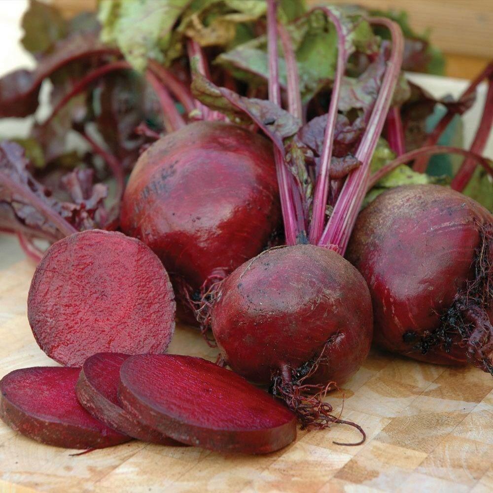 100 Ruby Queen Beets Seeds - Seed World