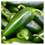 100 Tam Jalapeno Pepper Seeds - Seed World