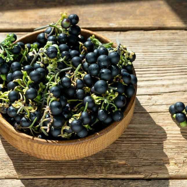 100 Wonderberry Heirloom Shrub Seeds - Seed World