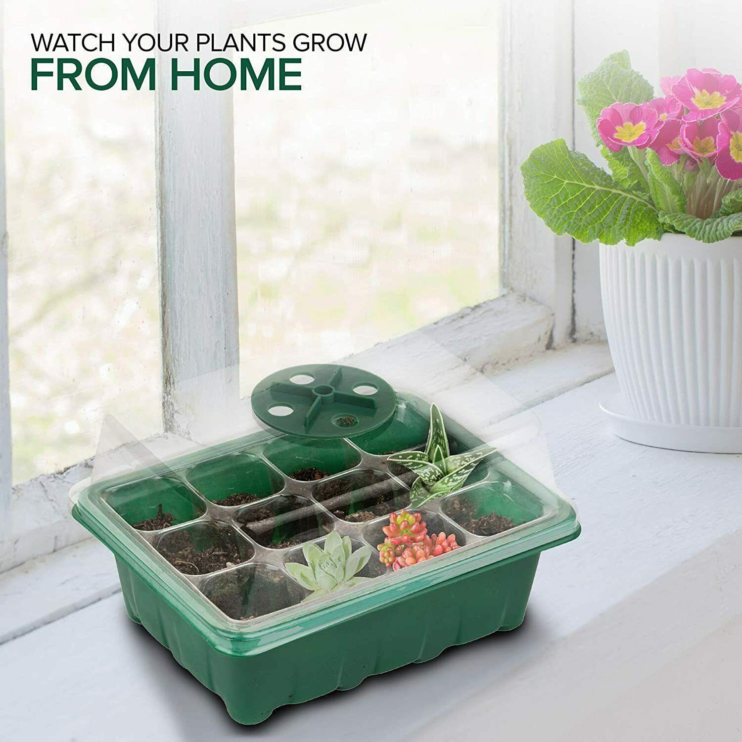 12 Cell Seed Tray - Green - Seed World