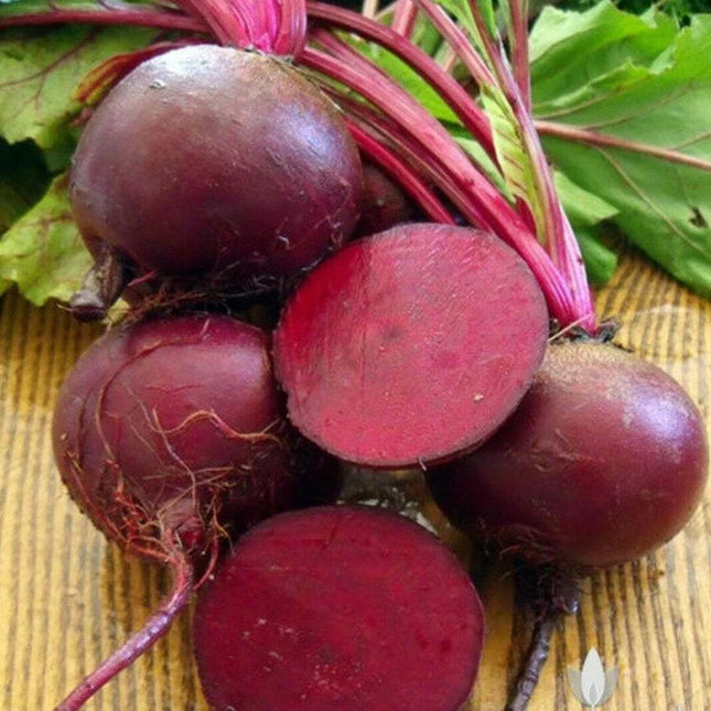 1200 Detroit Dark Red Beet Seeds | Non-GMO - Heirloom - Seed World