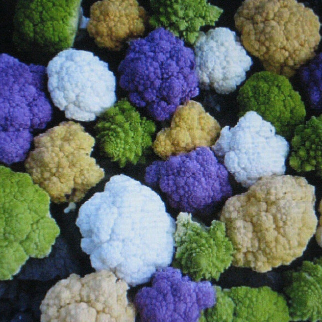 150 Rainbow Blend Cauliflower Mix Seeds - Seed World